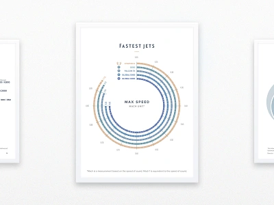 Infography | Data visualization aircraft data data visualisation data visulization datas design digital fatest graphic graphics infographie infography poster statistics ui