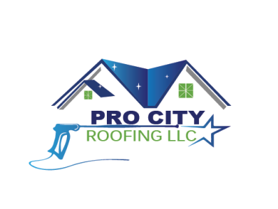 ROOF WASHING LOGO logo