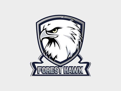 Hawk logo