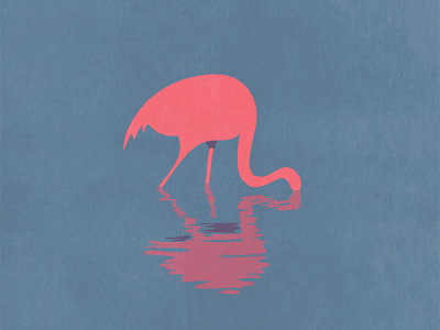 Flamingo animal flamingo illustration