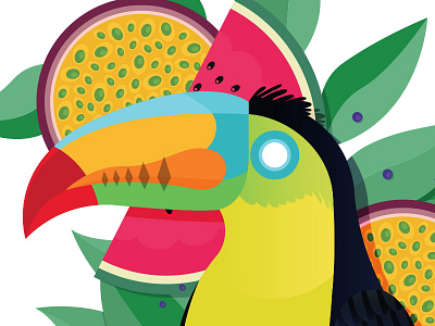 Toucan - Close up bird bright colour fruit illustration nature