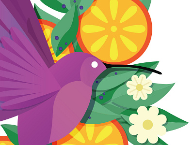 Hummingbird - close up animal bird colour fruit illustration nature plants