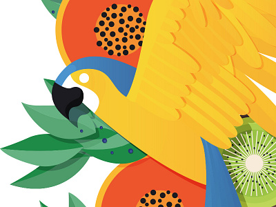 Parrot - close up colour fruit illustration nature parrot plant