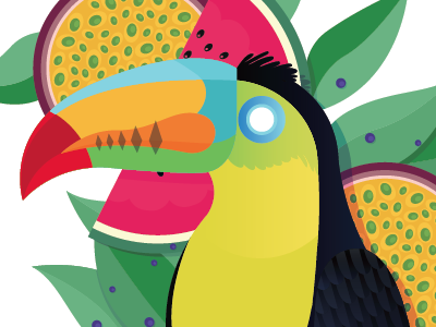 Ordered some new business cards. bird business colour fruit illustration leaf promo toucan