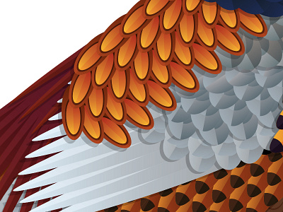 Close up details bird closeup colour feathers illustration nature pattern wip