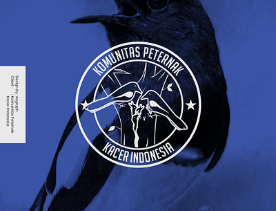 Bird Logo Design branding design logo