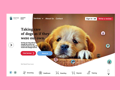 Pets UX Design