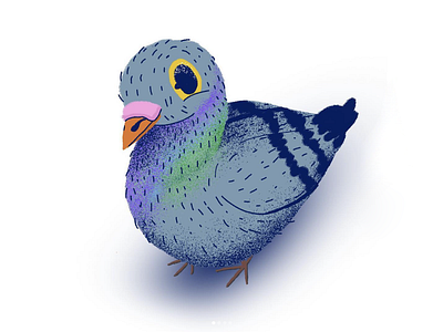 pigeon from 365 days of drawing
