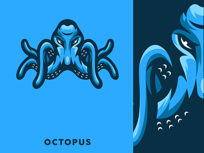 Octopus Illustration