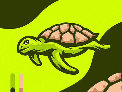 Green Turtle Illustration design detailed drawing green illustration turtle vector