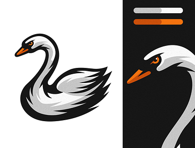 Swan Illustration animal bird design detailed drawing illustration logo nature swan swans vector