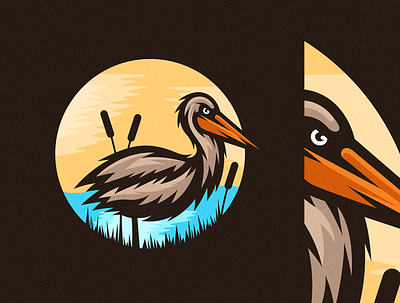 Pelican Nature Illustration design detailed drawing illustration nature pelican pelicans vector