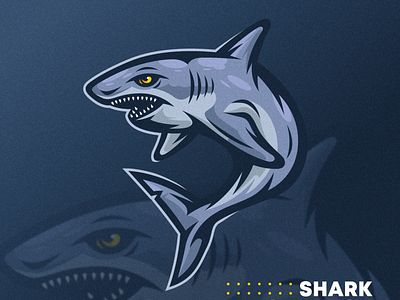 Shark Vector Illustration