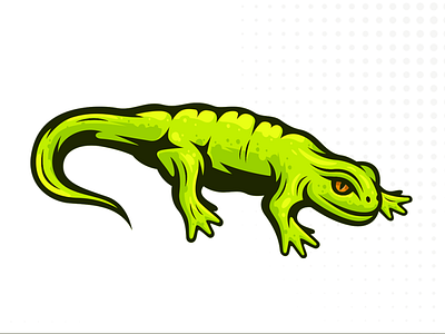 Salamander Illustration design detailed drawing illustration lizard salamander vector