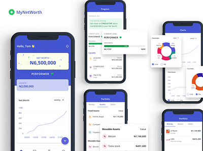 MyNetWorth app