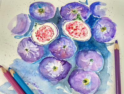 Figs figs food illustration fooddrawing illustration sketch violet watercolour