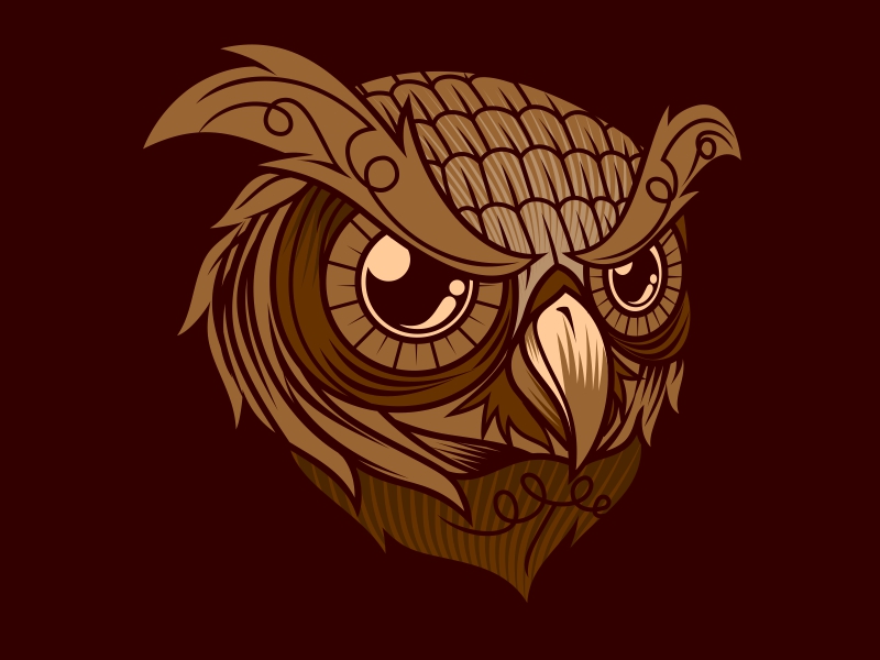 Brown Owl By Catur Ady Sasmito On Dribbble