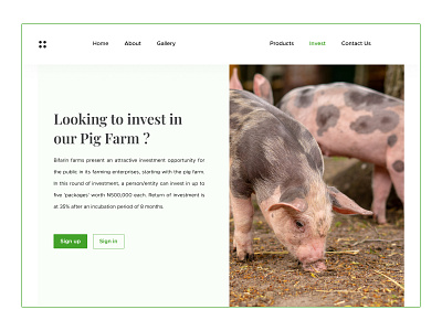 Bifarin Farms Investment Page design graphic design landingpage ui uiux website