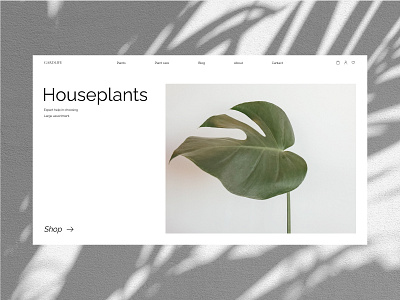 Plants design flower shop minimal minimalism flower shop minimalism shop typography ui ux web