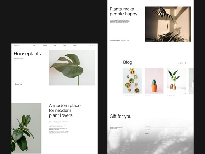Plants №2 design flower shop minimal minimal design minimalism plant ui ux web