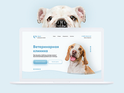 Landing page | Veterinary clinic