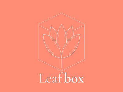 LeafBox Logo branding design graphic design logo