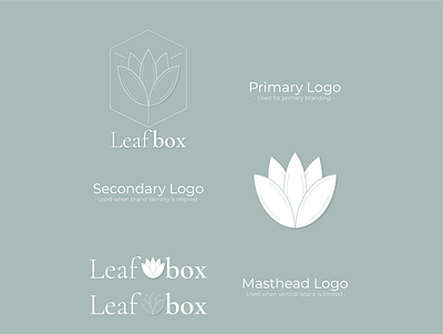 LeafBox Logo Suite branding design graphic design logo