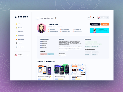 User Profile Design - Codealo