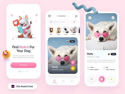 Dating App Concept 🥰 adobexd concept concept design dating dating app design app dogs love match mate pets trends uidesign uxdesign