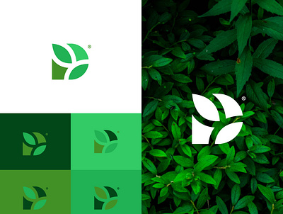 Green Letter D Mark abstract brand brand design branding clean color creative design eco green icon leaf logo logodesign minimal simple symbol