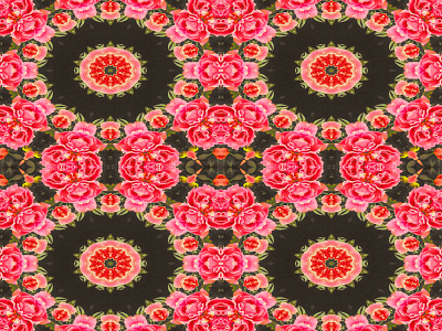 Collage Pattern Roses beauty bloomivio bouquet bright color brightness circle collage green leaves nature nature art nature photography pattern photography pink red rose vivid vivid colors wallpaper