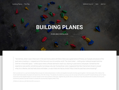 Building Planes Website and Logo Design design web design wordpress