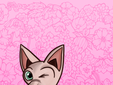 Hairless Cat Phone Wallpaper design drawn illustration