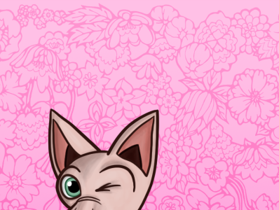 Hairless Cat Phone Wallpaper