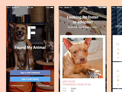 FoundMyAnimal Redesign Concept dog ecommerce puppy