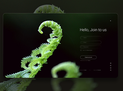 001 Sign up page Daily UI #001 art design graphic design illustration minimal typography ui ux web website