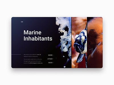 Oceanarium concept dark dark ui design desktop interface interface design landingpage minimal ocean site ui webdesign website