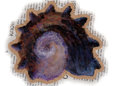 Watercolour Shell