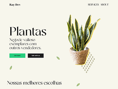 Ecommerce para plantas da região