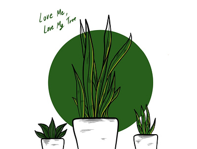 Snake plant draw drawing graphic design illustrated. illustration procreate