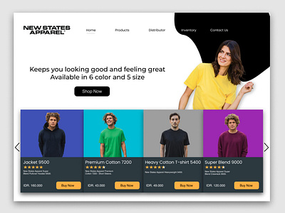 Web designer landing page