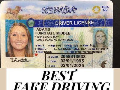 Fake Nevada Driver's license - What happens if I get busted?