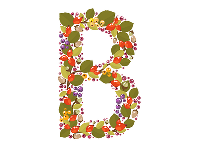 B Is For Berry flowers folk art illustration illustrator lettering