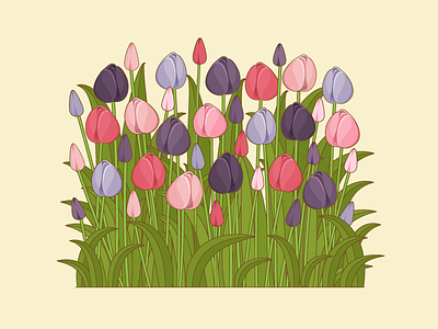 Tulips flowers illustration illustrator nature