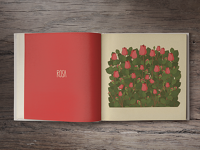 Rose (book spread) book flowers illustration illustrator nature
