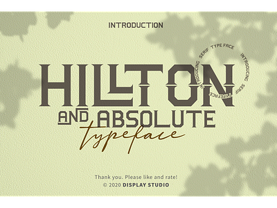 Hillton and Absolute Font branding clothing design font fonts hillton and absolute invitation italic logotype serif typeface
