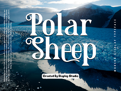Polar Sheep holiday