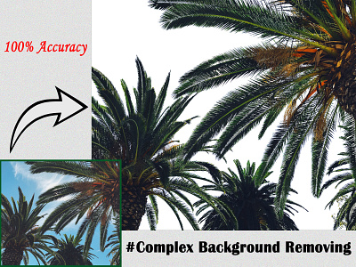 Complex Background Removing of Sky and Tree background removal color correction enhancement image background image manipulation image retouching object removing photo manipulation photo retouch retouche photo watermark removal