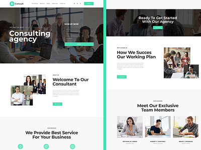 Website UI Design - Consulting Agency