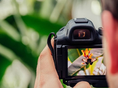 How To Make Photography Your Hobby capture memories